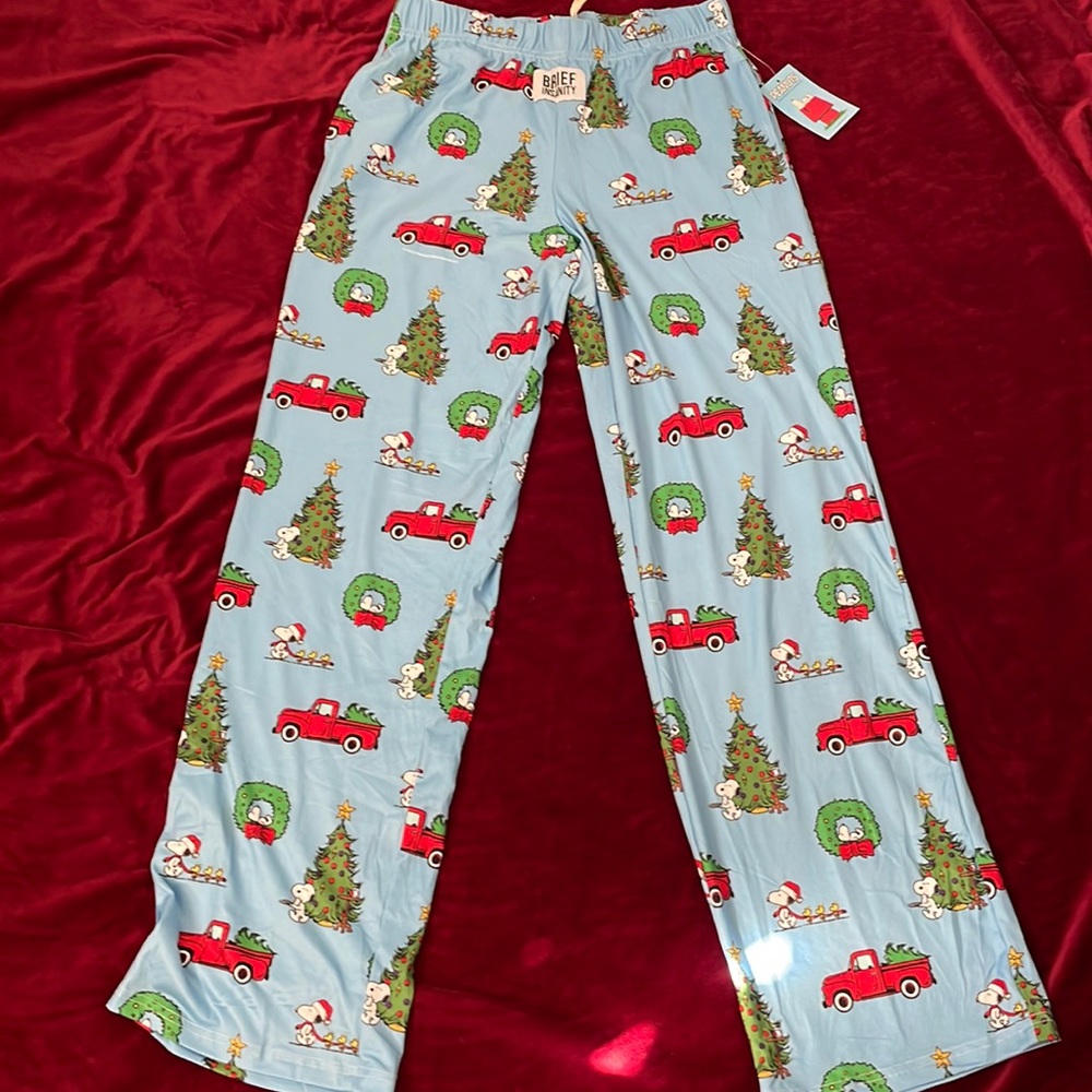 Snoopy Holiday Truck Pjs “Brief Insanity “